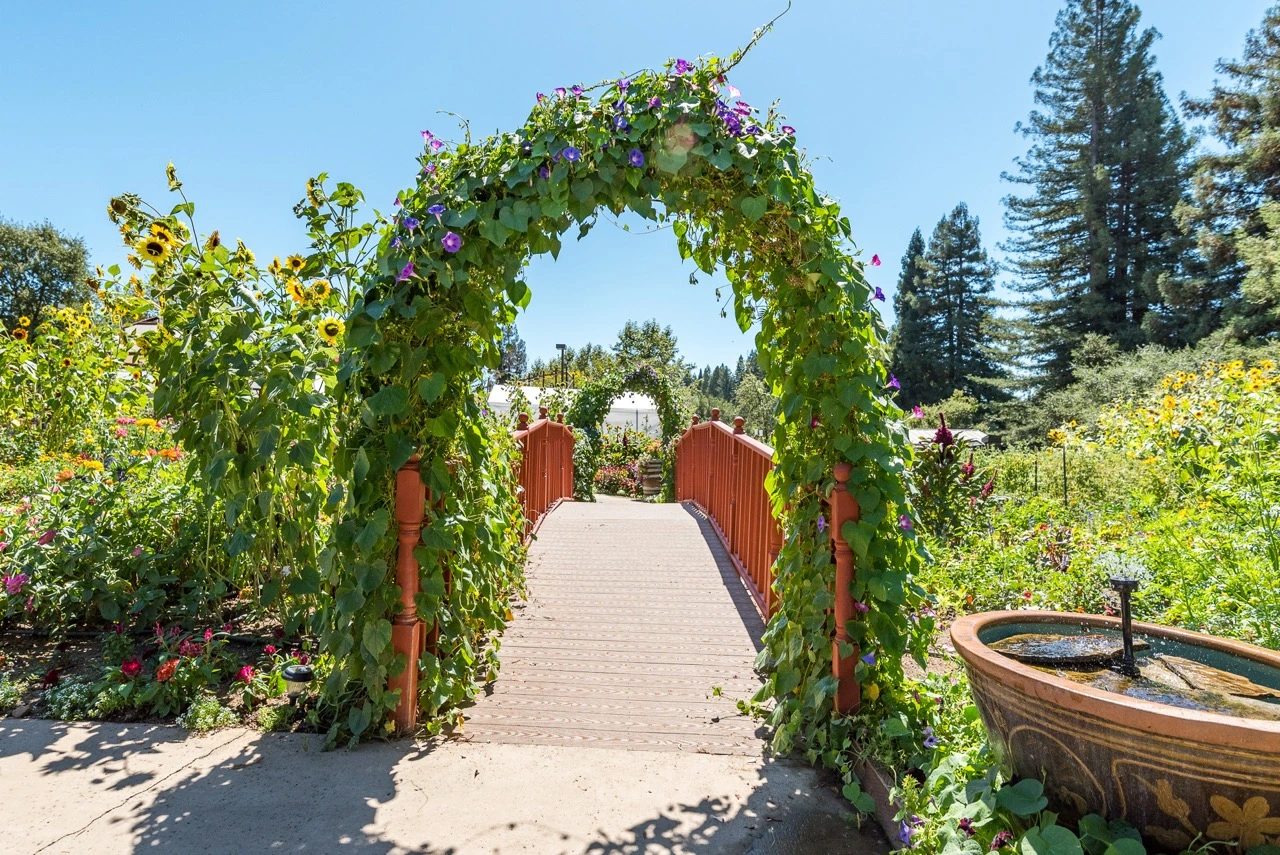 Healdsburg Gardens lush green gardens with archway over walking path